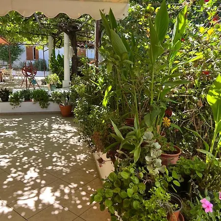Chez Angelika